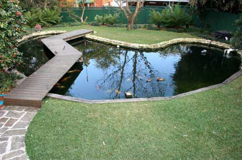 Coy pond Coy pond